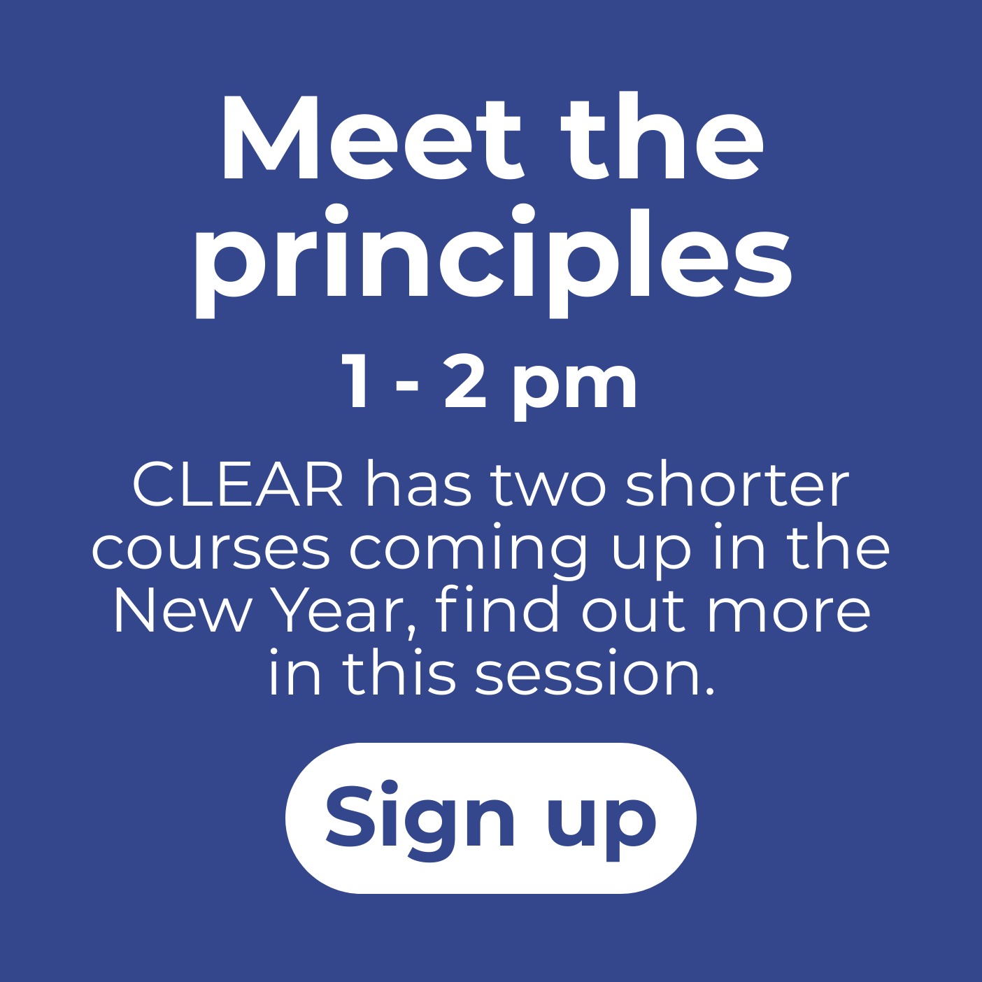 Meet the principles session